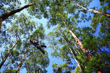 FreemanX Experience - Lightning Ridge Tourism 5