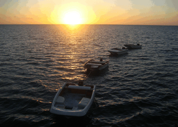 Carlo Fishing Charters - Lightning Ridge Tourism 2