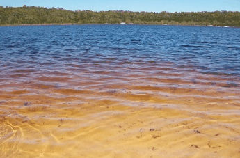 Beach Trekkers North Stradbroke Island - Lightning Ridge Tourism 1