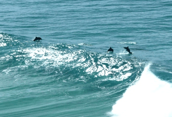 Beach Trekkers North Stradbroke Island - Lightning Ridge Tourism 2