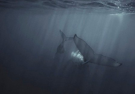 Eleven40 Gallery - Lightning Ridge Tourism 4