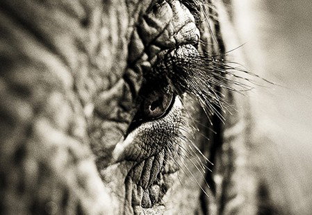 Eleven40 Gallery - Lightning Ridge Tourism 5