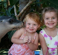 Dolphin Marine Magic - Lightning Ridge Tourism