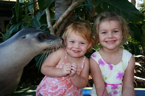 Dolphin Marine Magic - Lightning Ridge Tourism 0