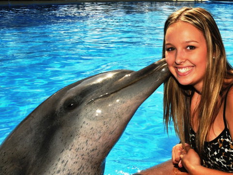 Dolphin Marine Magic - Lightning Ridge Tourism 3