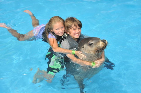 Dolphin Marine Magic - Lightning Ridge Tourism 9