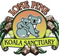 Lone Pine Koala Sanctuary - Lightning Ridge Tourism