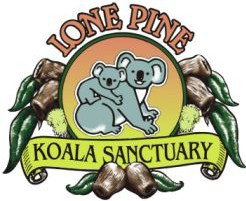 Lone Pine Koala Sanctuary - Lightning Ridge Tourism 0