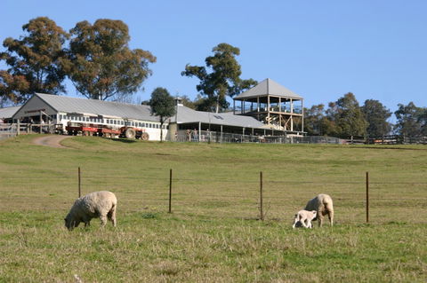 Calmsley Hill City Farm - Lightning Ridge Tourism 3