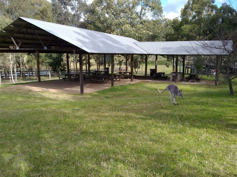 Calmsley Hill City Farm - Lightning Ridge Tourism 5
