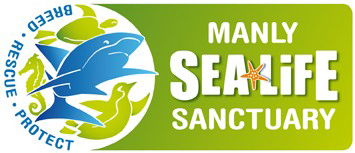 Manly SEA LIFE Sanctuary - Lightning Ridge Tourism 0