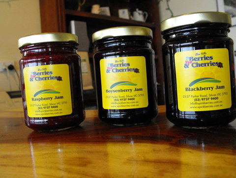 Blue Hills Berries & Cherries - Lightning Ridge Tourism 1