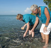 Aquascene Fish Feeding Sanctuary - Lightning Ridge Tourism