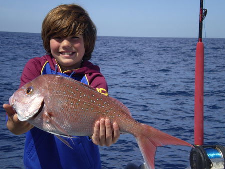 Mills Charters Fishing And Whale Watch Cruises - Lightning Ridge Tourism 4