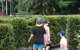 Bellingham Maze - thumb 2