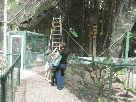 Bellingham Maze - Lightning Ridge Tourism 7