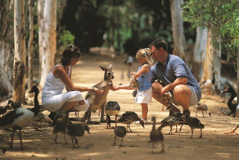 Wulguru QLD Lightning Ridge Tourism