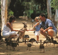 Billabong Sanctuary - Lightning Ridge Tourism