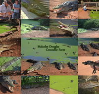 The Malcolm Douglas Crocodile Park - Lightning Ridge Tourism