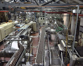 Cascade Brewery Tour - Lightning Ridge Tourism 2