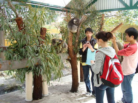 Caversham Wildlife Park - Lightning Ridge Tourism 4