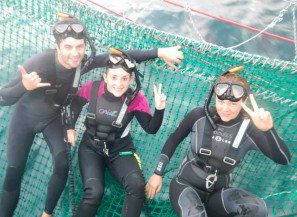 Dolphin Swim Australia - Lightning Ridge Tourism 7