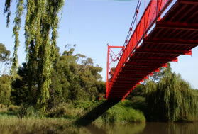 Caribbean Gardens - Lightning Ridge Tourism 4