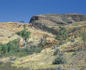  Lightning Ridge Tourism
