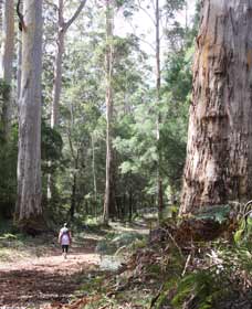  Lightning Ridge Tourism