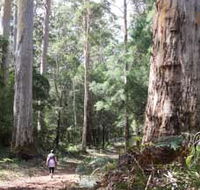 Warren River Loop Walk - Lightning Ridge Tourism