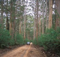 Boranup Drive - Lightning Ridge Tourism