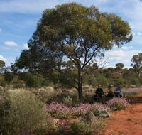 Karlkurla Bushland Park - Lightning Ridge Tourism