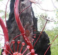 Understory Art In Nature - Lightning Ridge Tourism