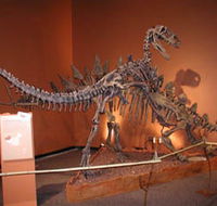 Denmark Dinosaur World - Lightning Ridge Tourism