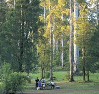 Big Brook Arboretum - Lightning Ridge Tourism