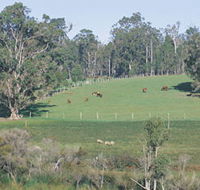 Scenic Drives - Bunbury Collie Donnybrook - Lightning Ridge Tourism