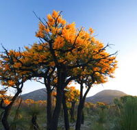 Cape Le Grand National Park - Lightning Ridge Tourism