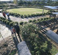 Kojonup Rose Maze - Lightning Ridge Tourism