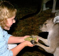 Discovery Bay's Walk on the Wild Side - Lightning Ridge Tourism