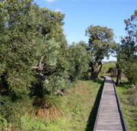 Kepwari Trails Wetland Wonderland - Lightning Ridge Tourism