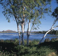 Celebrity Tree Park - Lightning Ridge Tourism