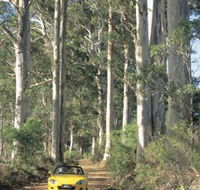 Mount Shadforth Scenic Drive - Lightning Ridge Tourism