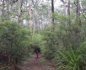 Lightning Ridge Tourism