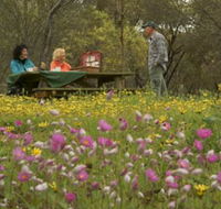 Gwambygine Park - Lightning Ridge Tourism