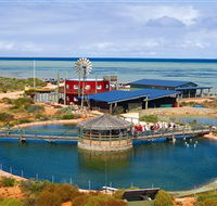 Ocean Park Aquarium - Lightning Ridge Tourism