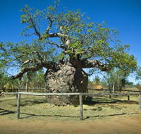 Pigeon Heritage Trail - Lightning Ridge Tourism