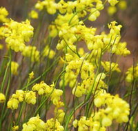 Mount Madden Scenic Drive - Lightning Ridge Tourism