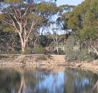 Merredin Railway Dam - Lightning Ridge Tourism