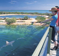 Shark Bay Marine Park - Lightning Ridge Tourism