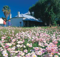 Greenough Museum - Lightning Ridge Tourism